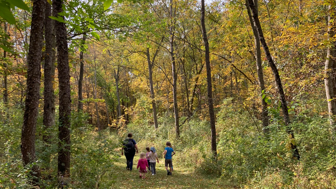 Fall hike mom with kids walking through colorful woods trees with yellow leaves
