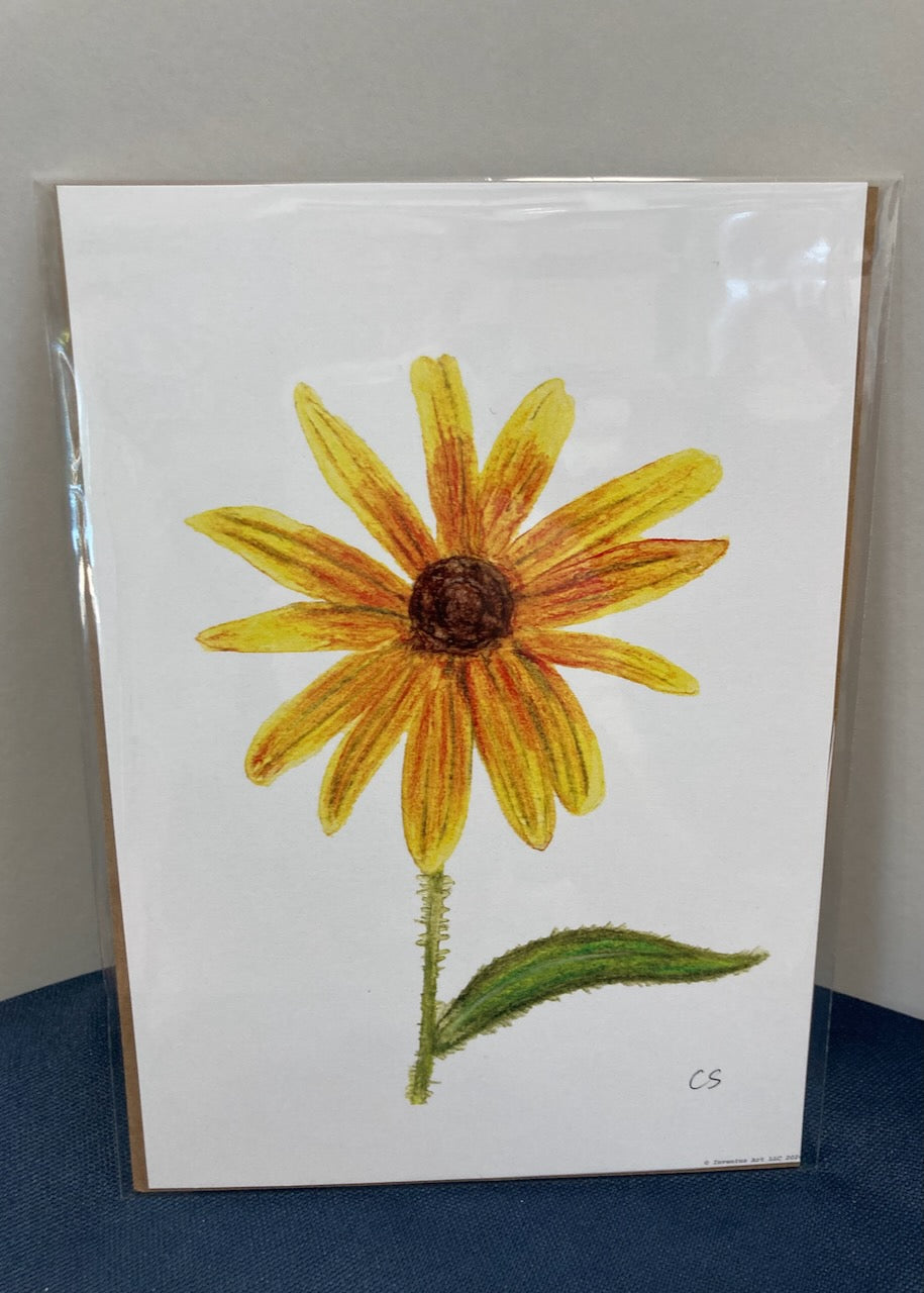 Special Edition Unframed, Un-matted Nature Study Art Prints on Paper (5"x7") (11 prints to choose from)