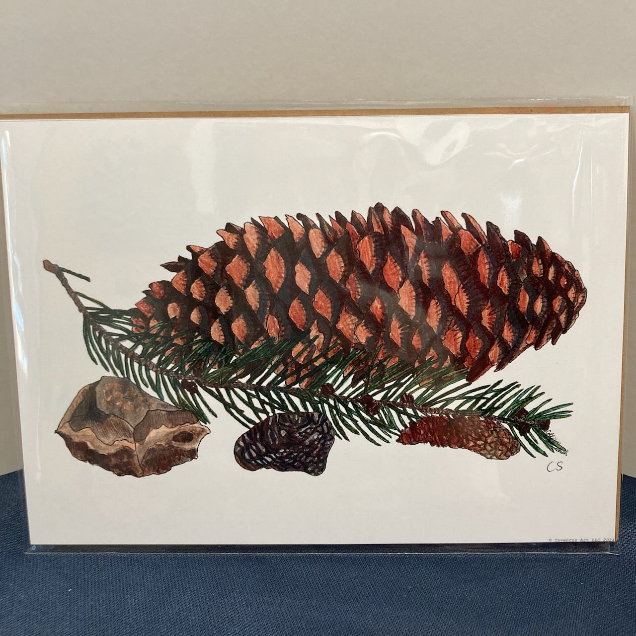 Special Edition Unframed, Un-matted Nature Study Art Prints on Paper (5"x7") (11 prints to choose from)