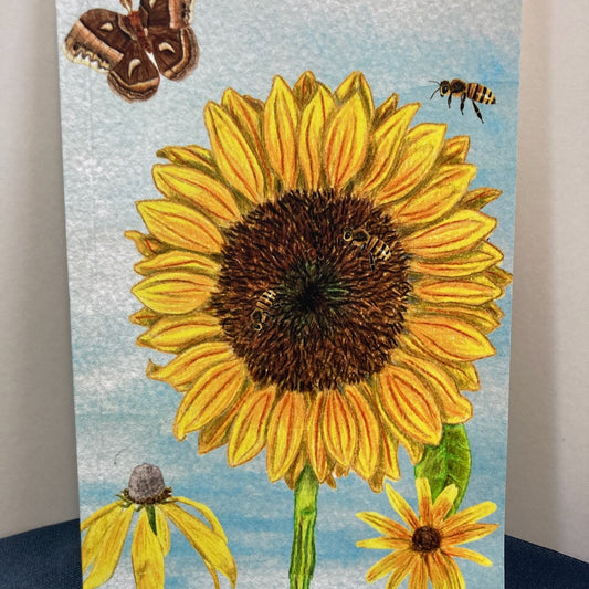 Wildflower Wonder Mix Nature Notebook (5.5"x8.5")