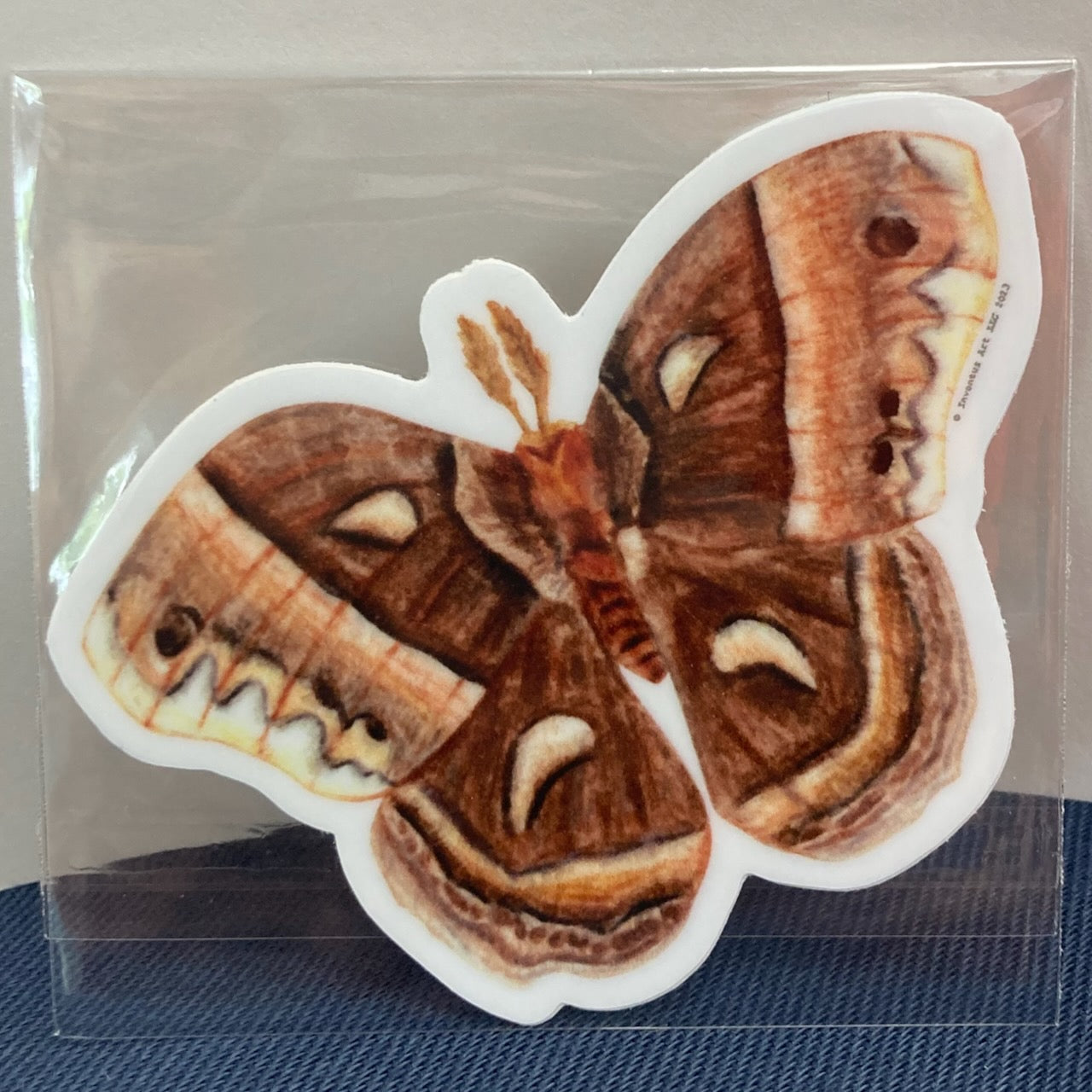 Cecropia Moth Vinyl Sticker (3″ × 2.13″)