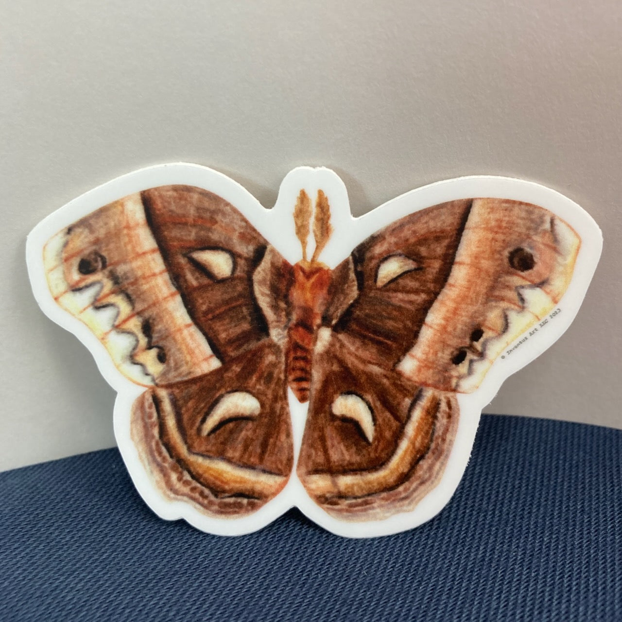 Cecropia Moth Vinyl Sticker (3″ × 2.13″)