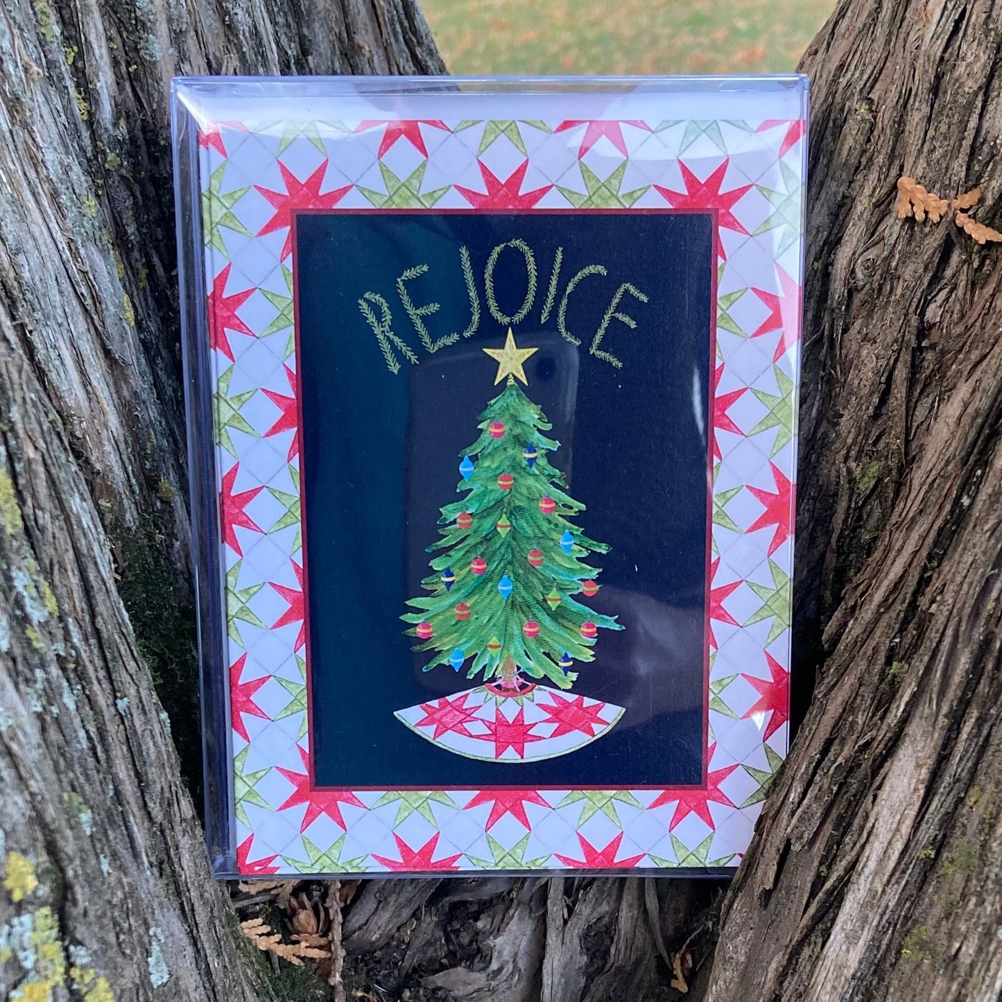 Box of 10 "Rejoice" Christmas Greeting Cards (A2)