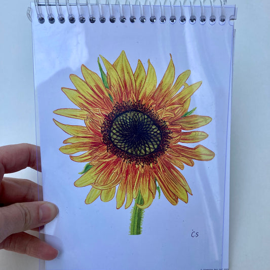 Multimedia Nature Journal – 5"x7" Sketchbook (signed art cover; perforated)