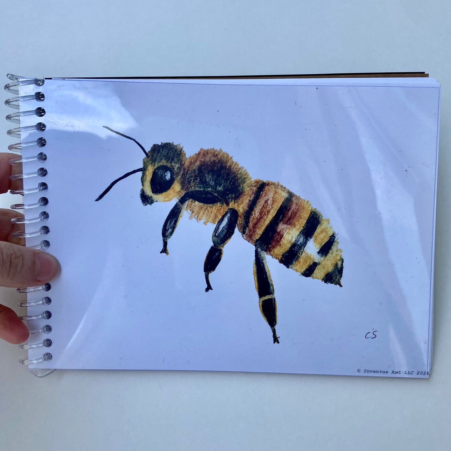 Multimedia Nature Journal – 5"x7" Sketchbook (signed art cover; perforated)