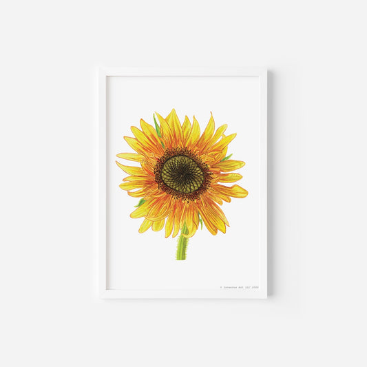 Ring of Fire Sunflower Art Print on Paper (5"x7"; special edition signed; unframed)